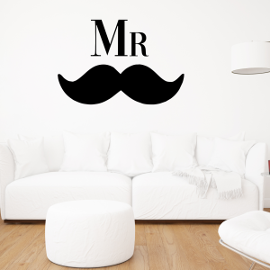 Vinilo Mr